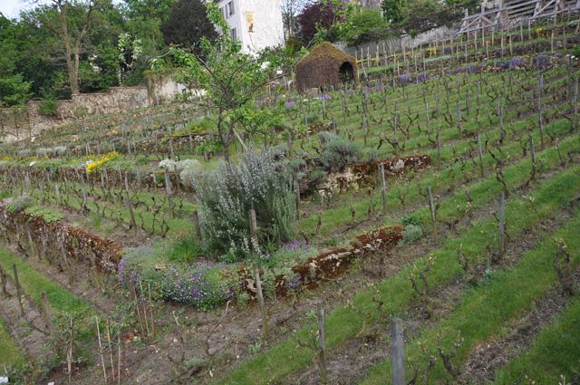 min 2013 05 02 montmartre 165